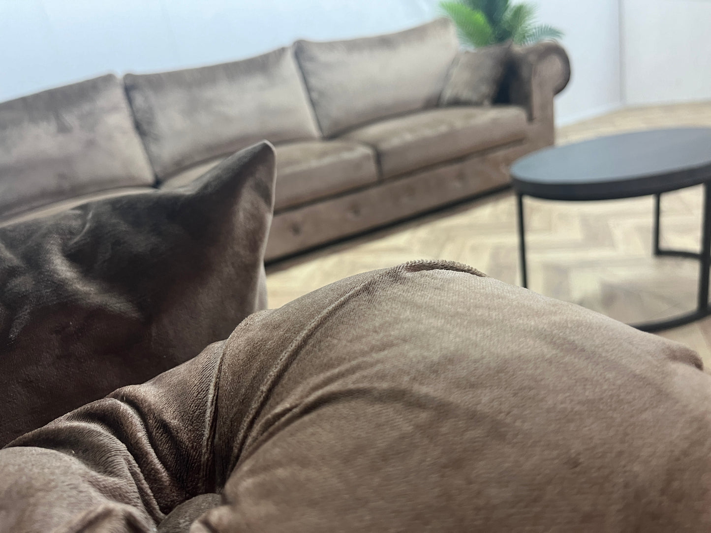 Bruine Velvet Eric Kuster Hoekbank ~ gecaptionneerd